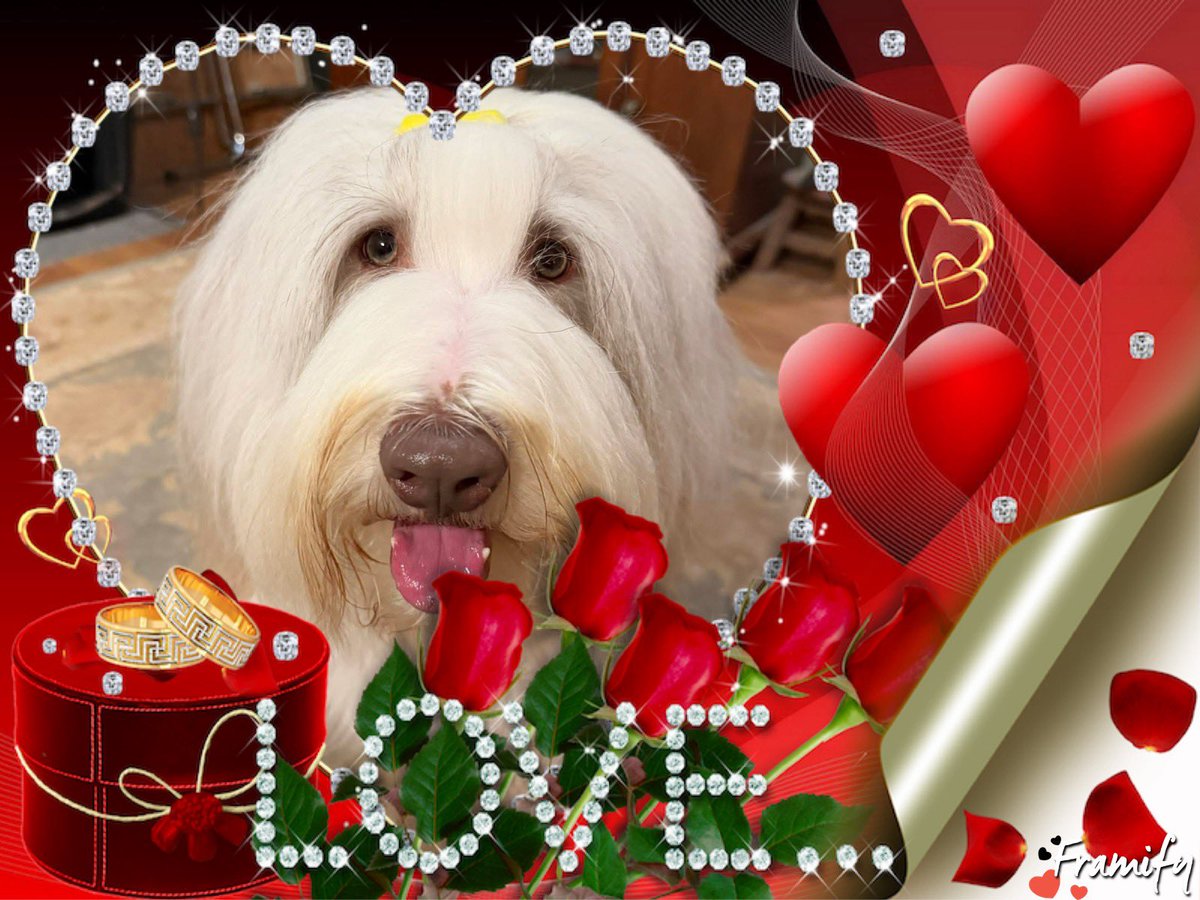 Windheath's tweet photo. Happy Valentine’s Day! ❤️❤️
Luv Charlie https://t.co/FpJvgOFgdw