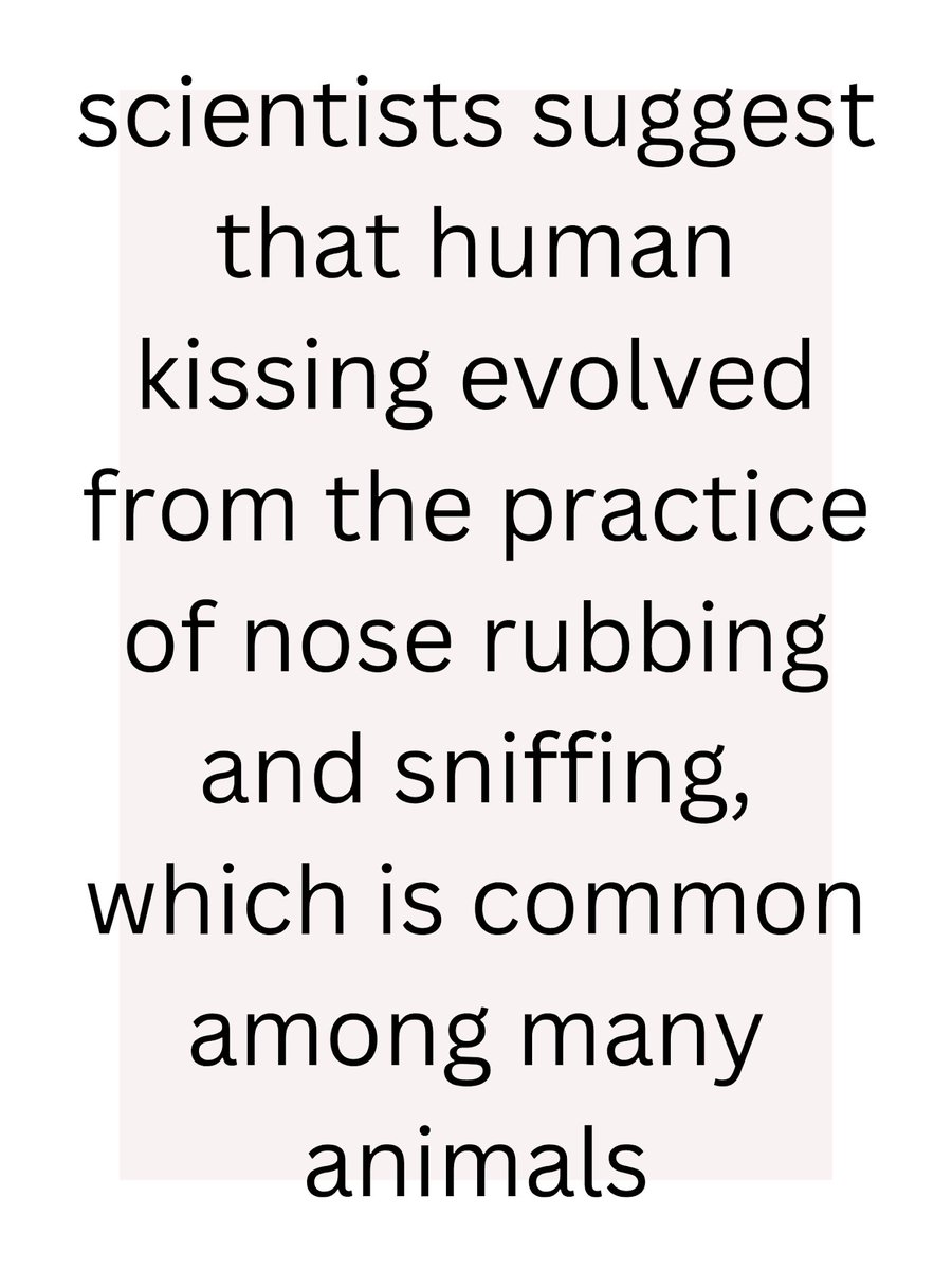 you'd.think tweet media