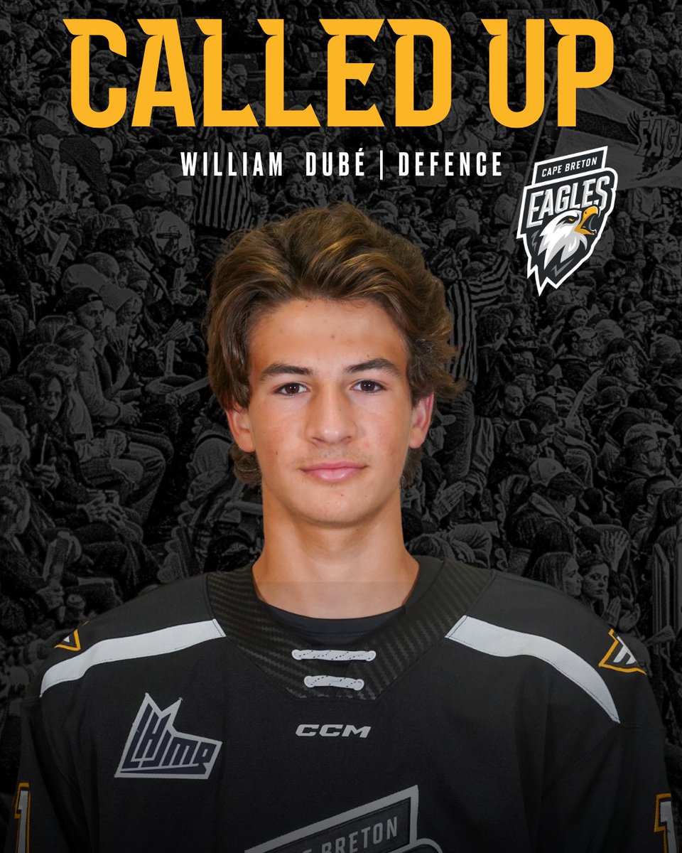 We have called up Defenceman William Dubé. 

He will be in the lineup tonight against the Victoriaville Tigres.

#HockeyIsland