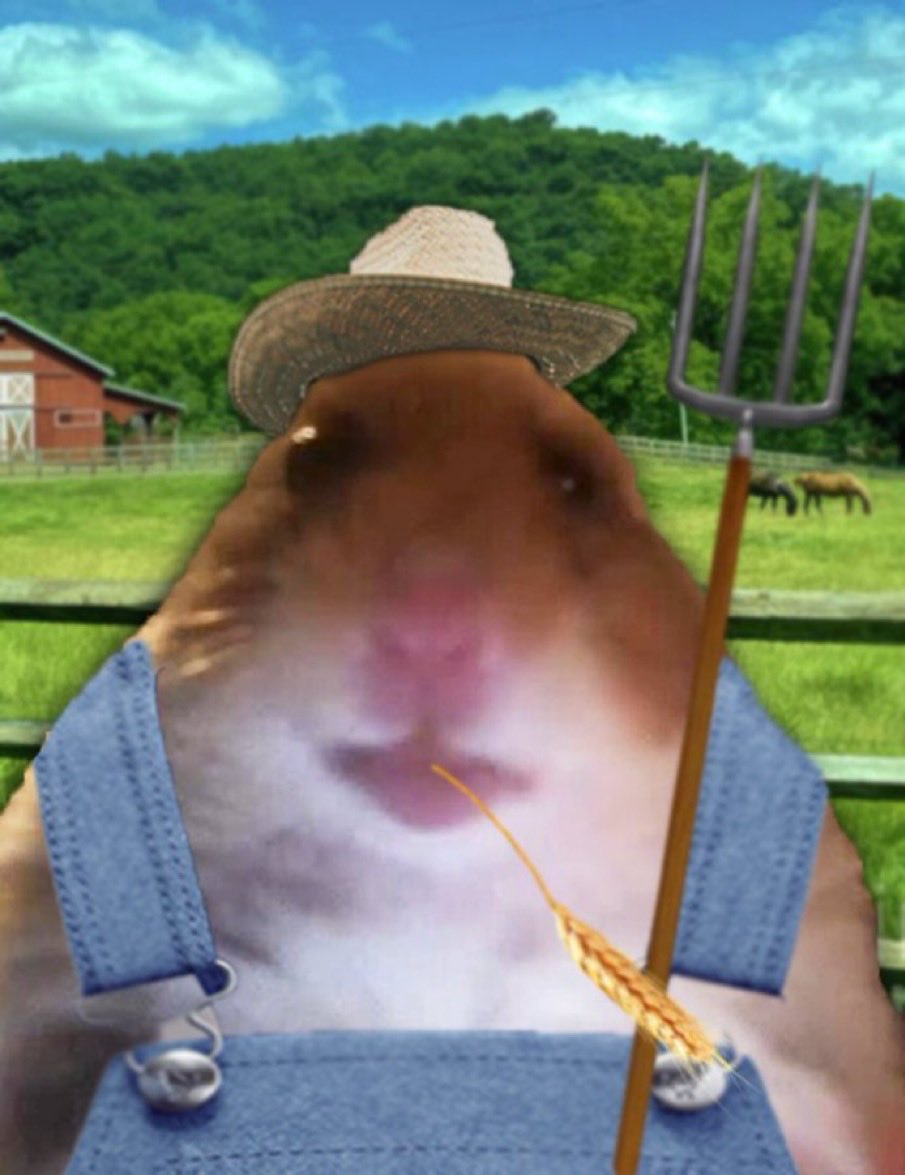 HAMIs Best Friend 🐹✨ tweet media