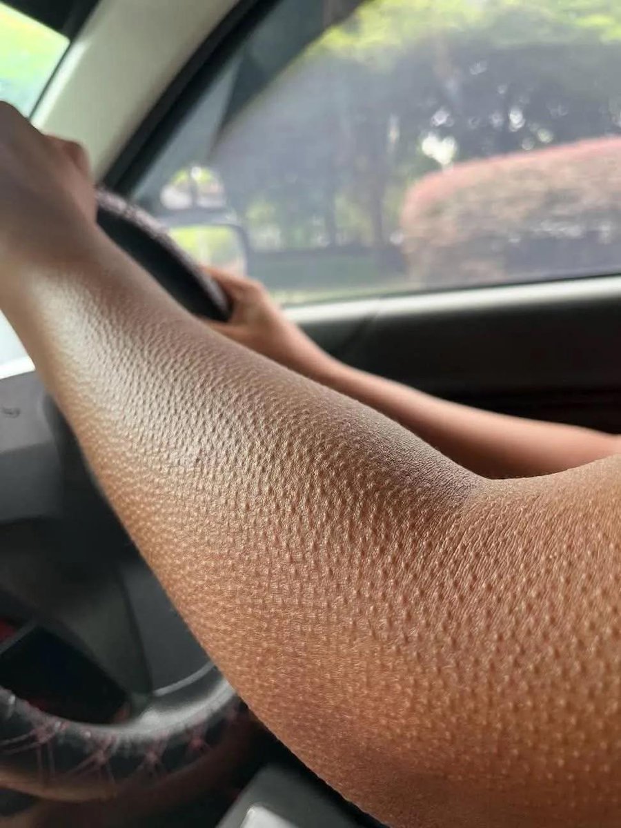 Juanito Sánchez  tweet media