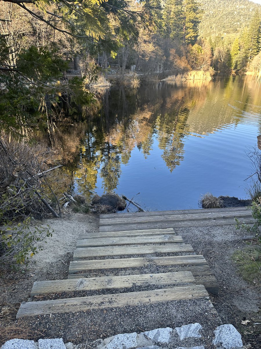 Someone has to fall for you.

You cannot push them to fall.

Love is divine. 

Wish everyone gets their desired ones and live a long life with them.

Happy Valentine’s day!!

#ValentinesDay2026 #valentines