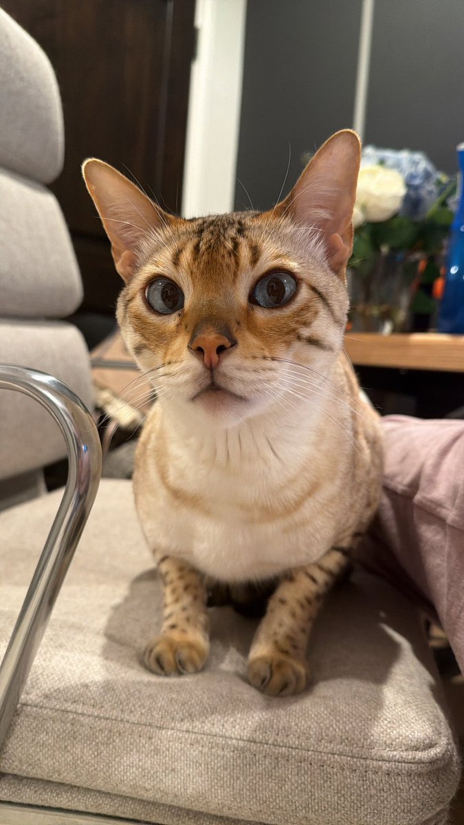 Michael Grzesiek tweet media