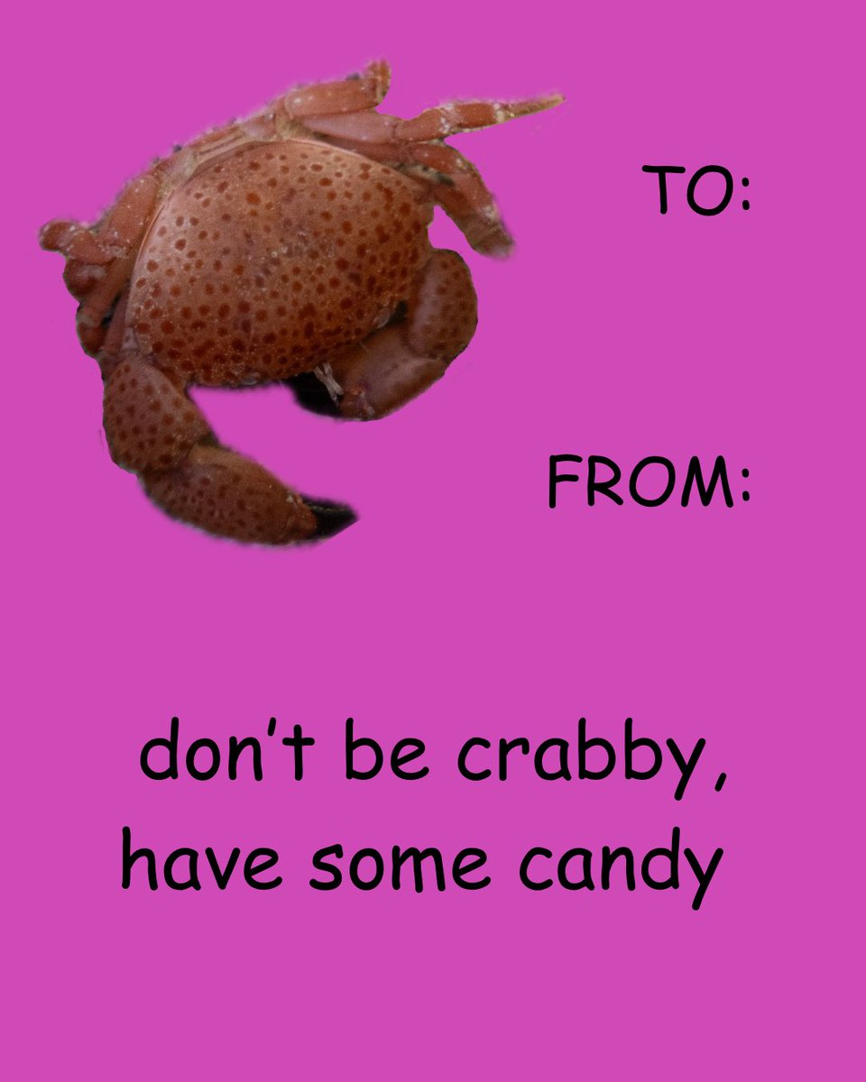 SeaLifeFacility's tweet photo. Happy Valentine’s Day! ❤️🧡💛💚🩷💜💙 https://t.co/lBMnXt5Gx5