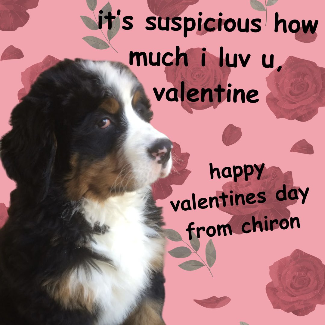 Happy Valentine’s Day from the cutest members of #CensNation!