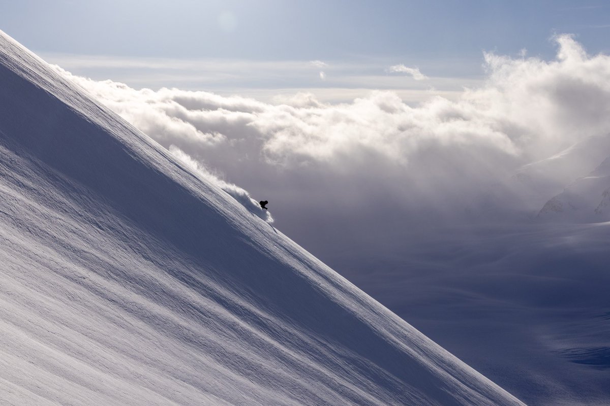 Andrew C. tweet media