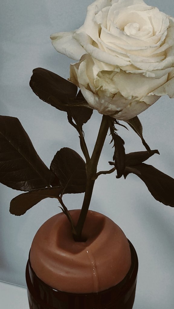 NIKOLΛOΣ JEΣúΣ tweet media