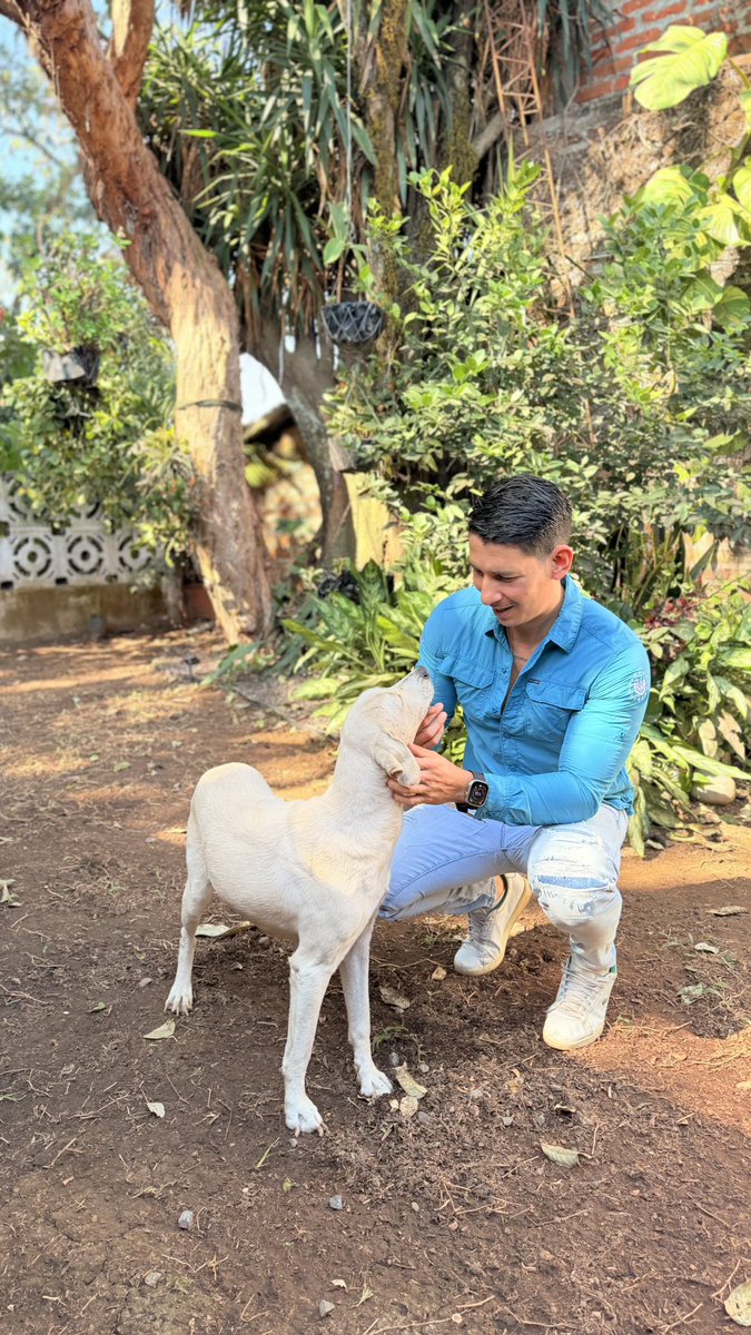 José Raúl Chamagua. tweet media