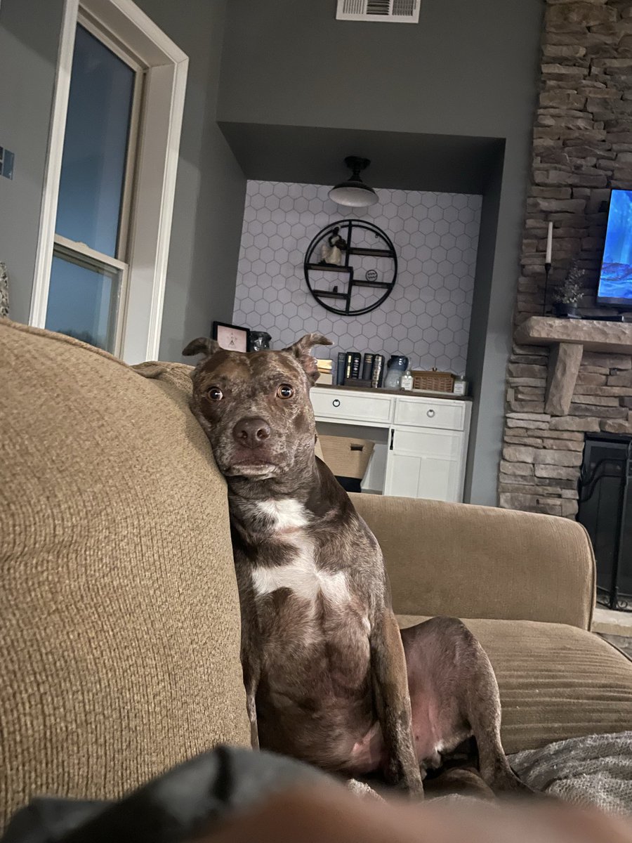 Matt Waldman tweet media