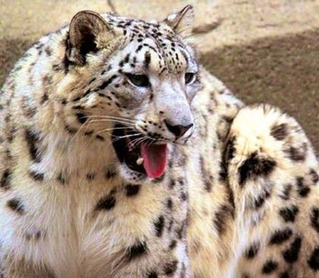 June_____'s tweet image. どうの世界だろう？ 🌳