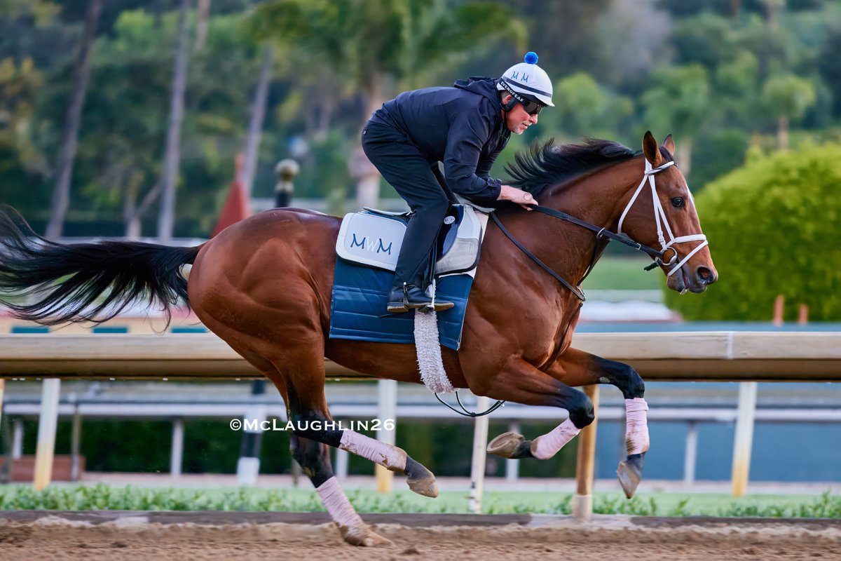 J McLaughlin Safford tweet media