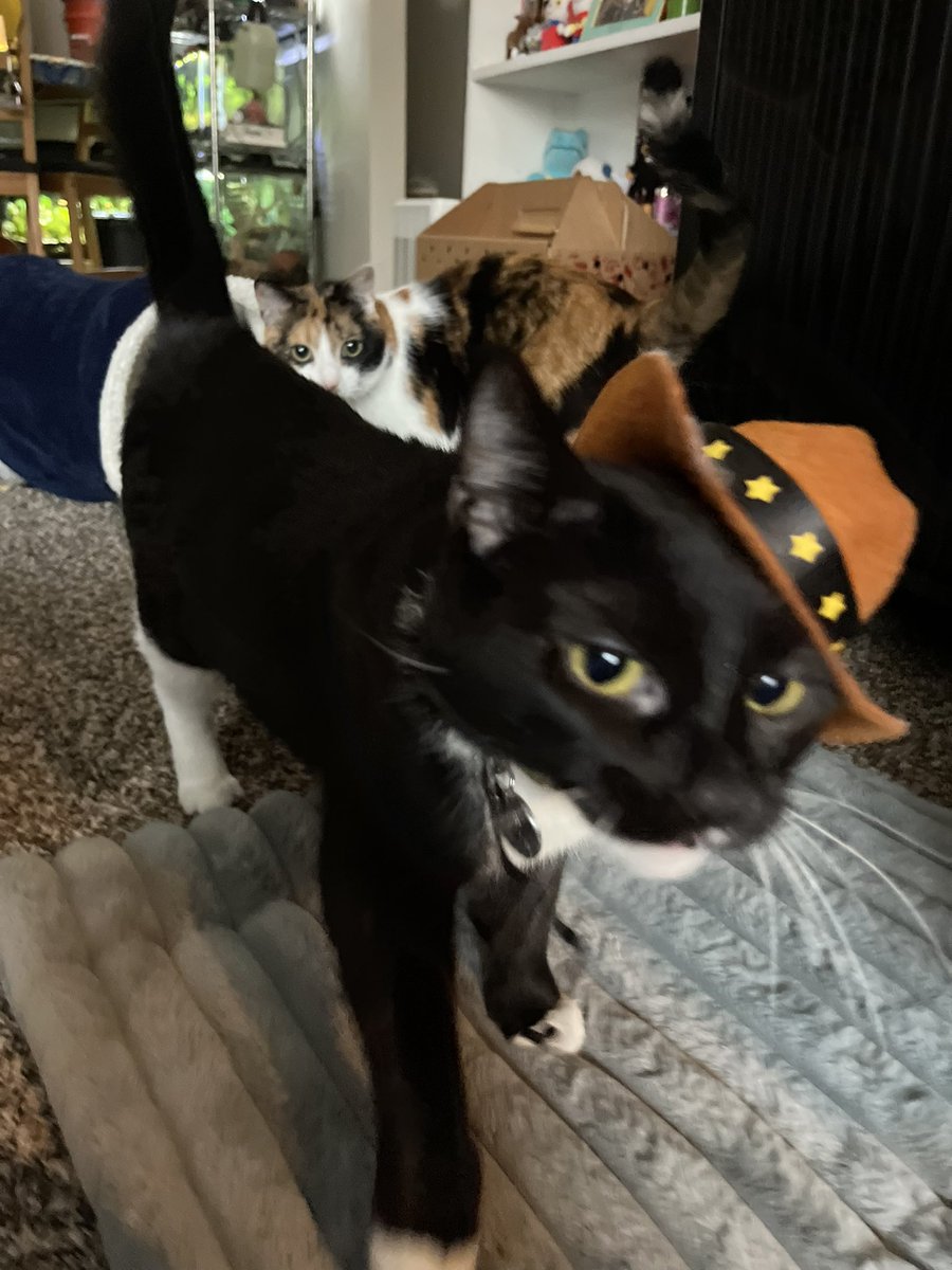 will you be the yee to my haw?