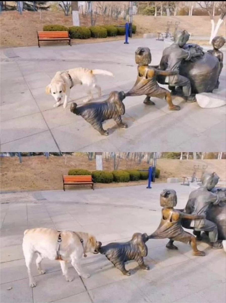 💖 (@twaniimals) on Twitter photo 