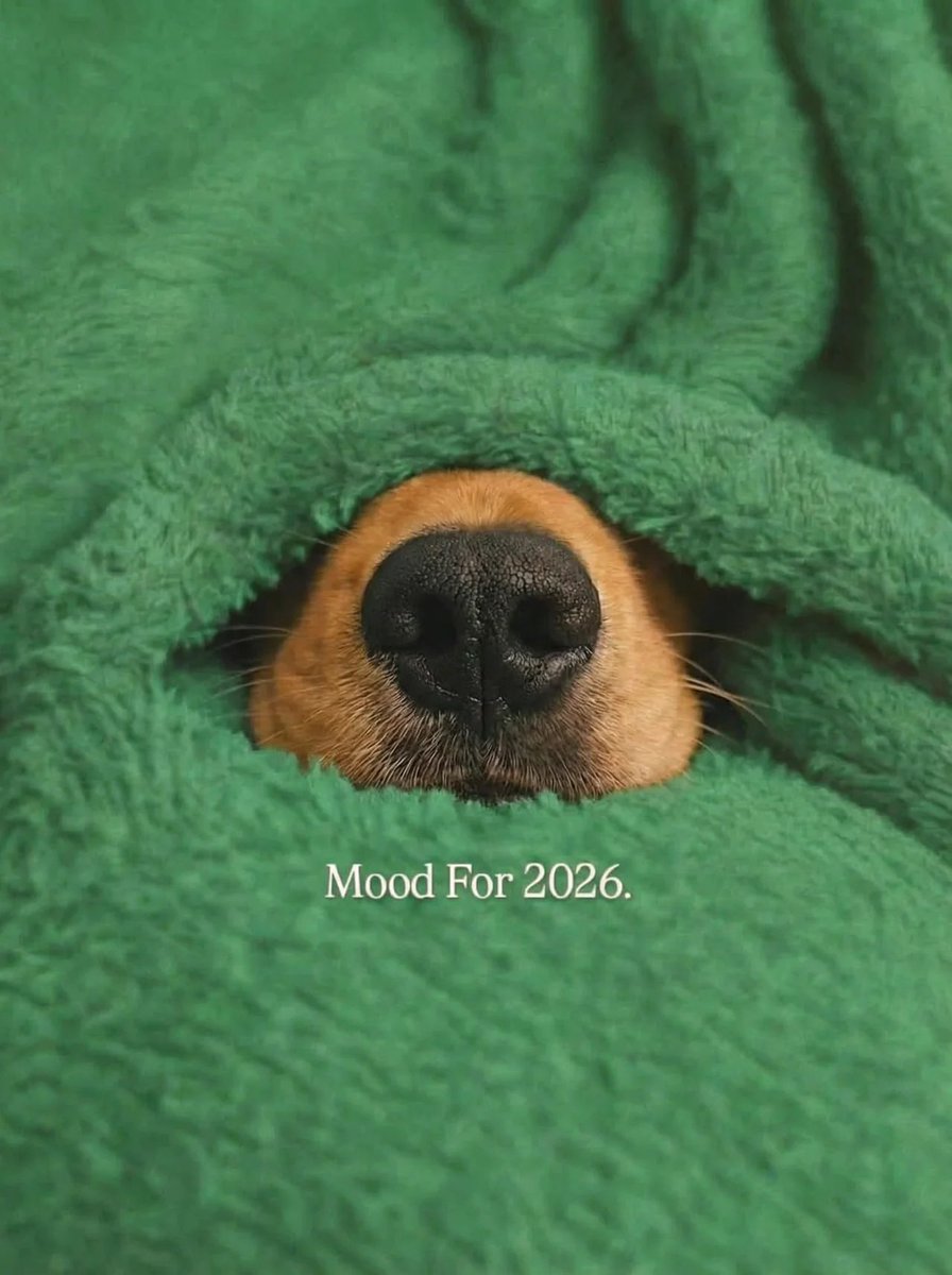 Silver (@silver_ceo) on Twitter photo 