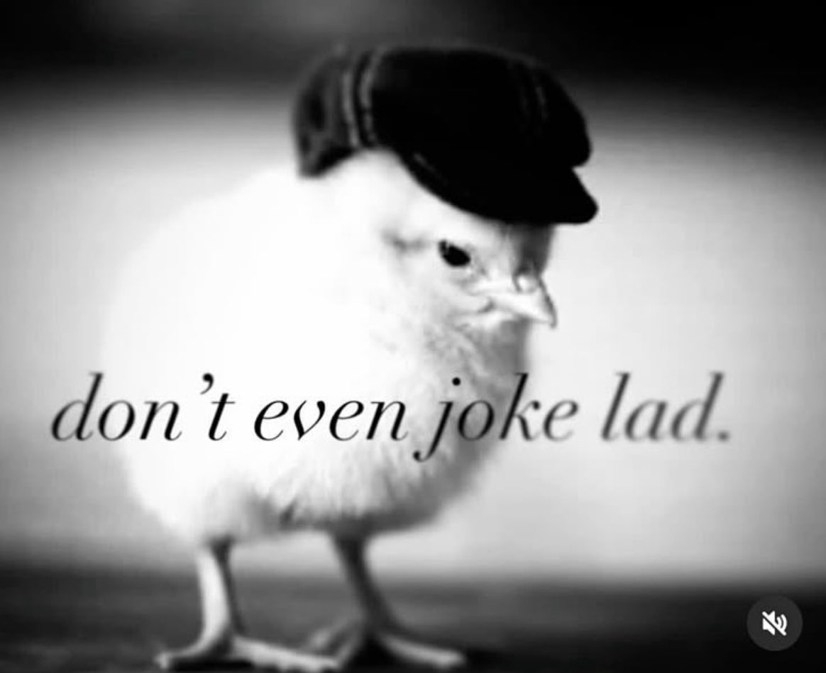 Douglas Banger🍀🇻🇦 tweet media