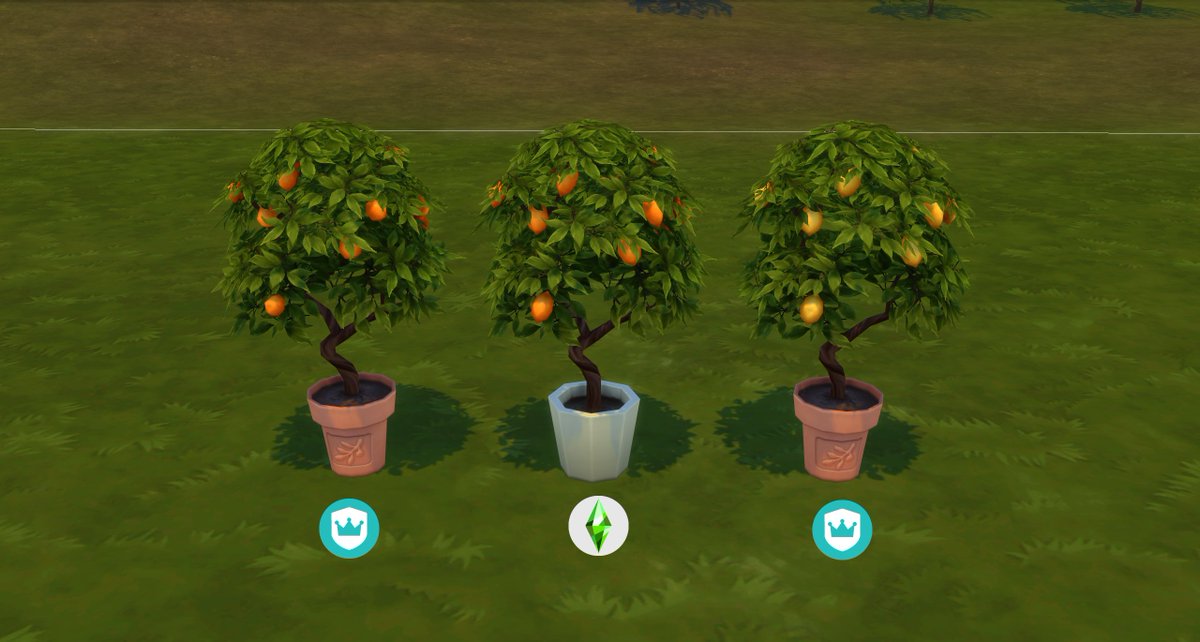 Ozono96's tweet photo. Caso 004:

Del naranjero del juego base que vino en una actu del año nuevo chino, han podido sacar dos plantas iguales (naranjero y limonero) que solo cambia su maceta por otra. https://t.co/LRCT2EwXoc