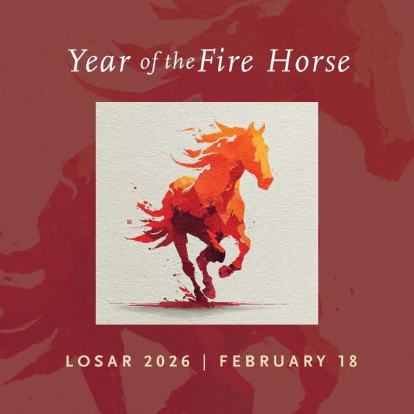 Dzigar Kongtrul tweet media