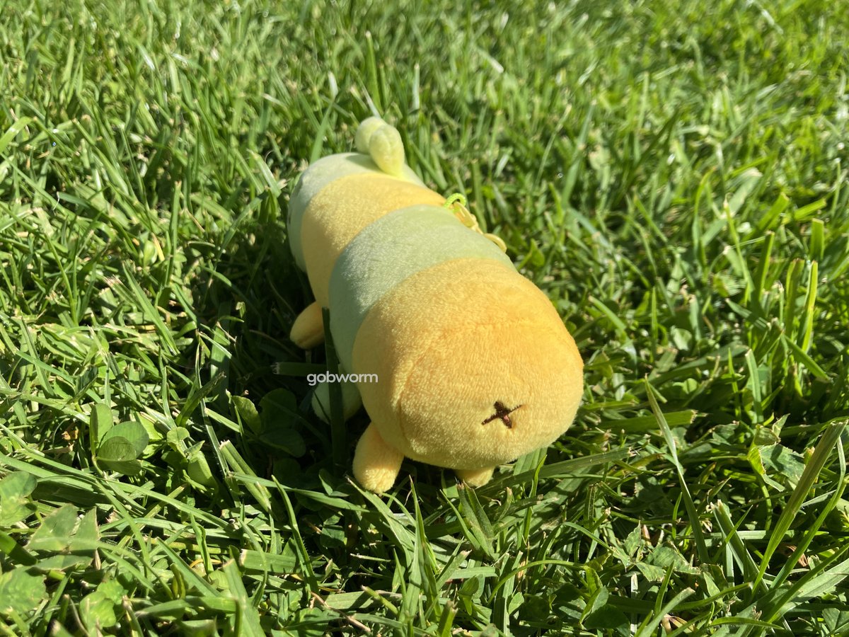 🐛GOBWORM🐛 shop open! tweet media