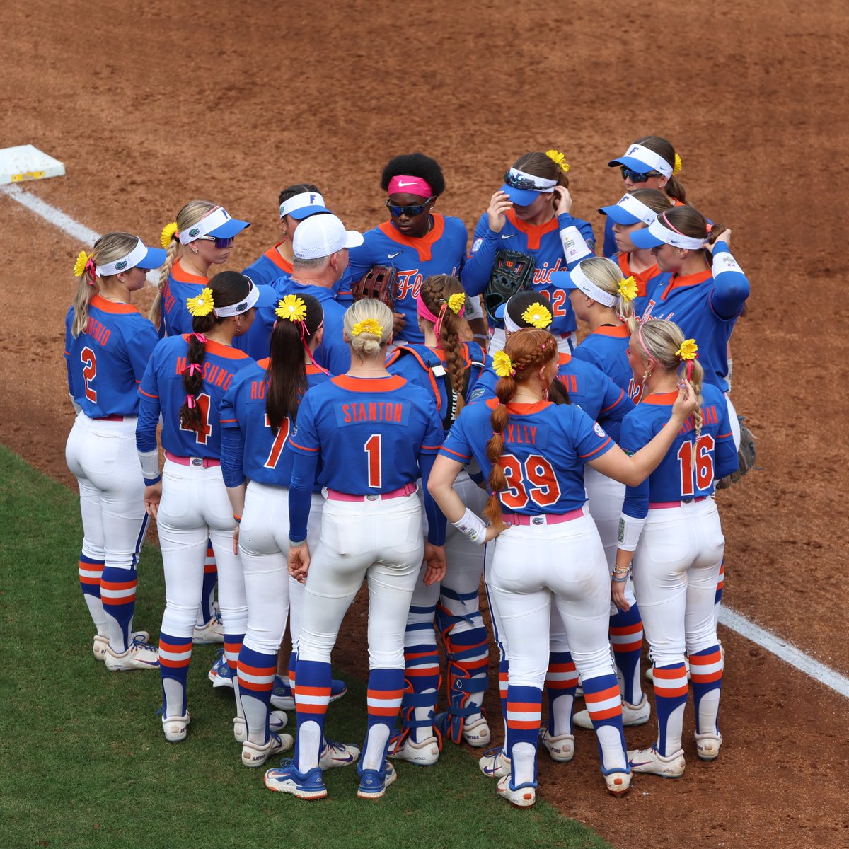Gators Softball tweet media