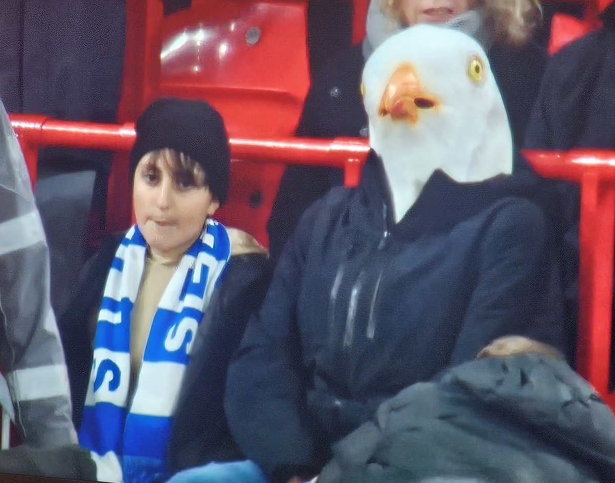 SeanSheehanBA's tweet photo. Spending Valentine's Day at Anfield with your Dad who is dressed as a seagull. https://t.co/llSPdKfr1I