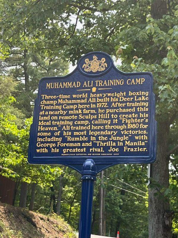 Aaron Snowell tweet media