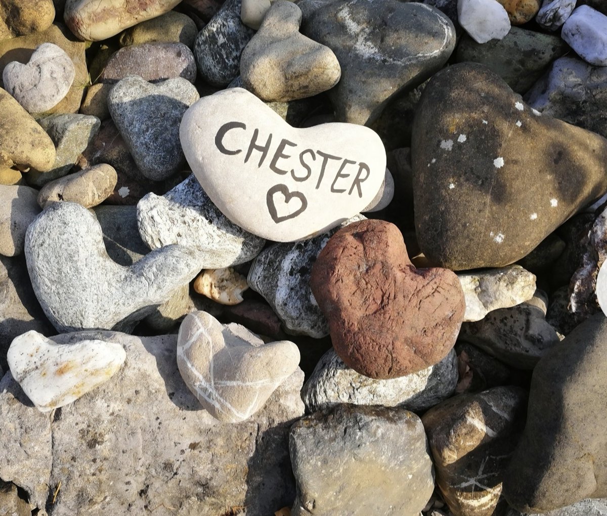 Happy Valentine's Day y'all! ❤️❤️❤️

This is a part of my heart shaped stones collection in my garden.