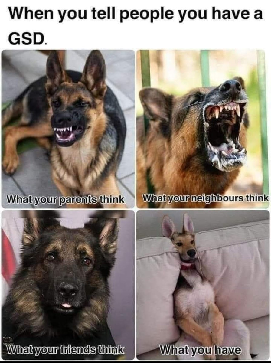 Oicu8 (@cryptoserviced) on Twitter photo 