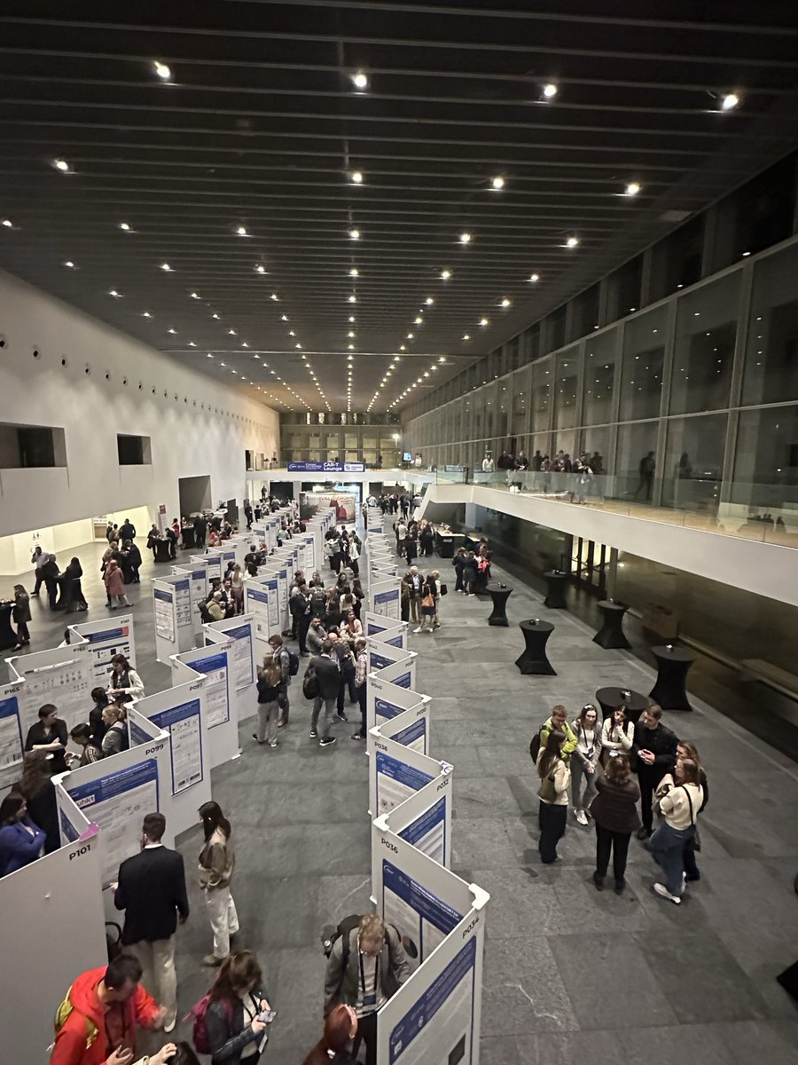 Isabela Girleanu tweet media