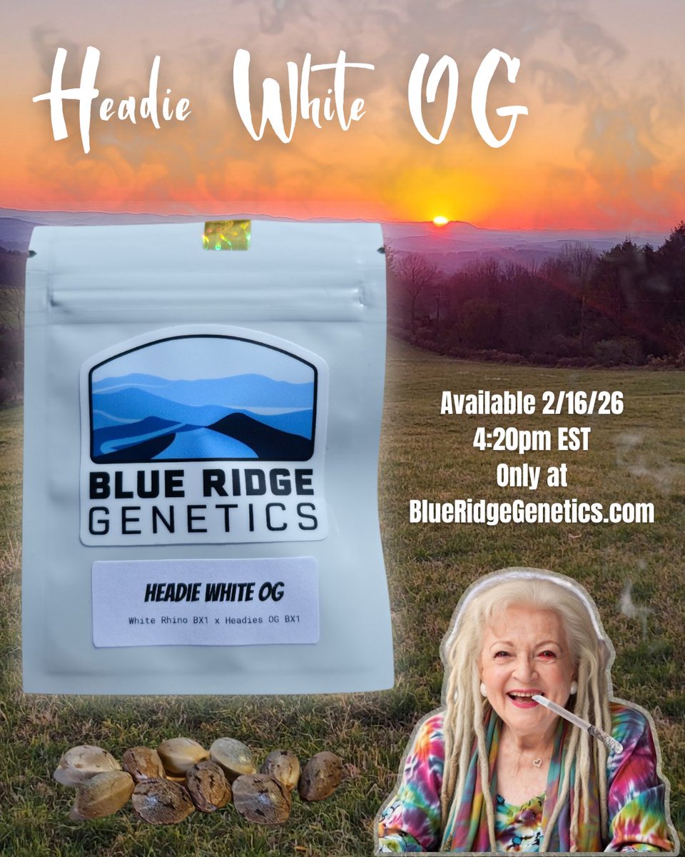 Headie White OG—crafted at elevation, under the sun. 

10 regular photoperiodic seeds. 

Limited drop goes live 2/16/26 
4:20 PM EST - only at BlueRidgeGenetics.com 👈

Very limited stock. 

Only 25 packs exist. 

FCFS. 

Ships next day 🚚💨

#HeadieWhiteOG