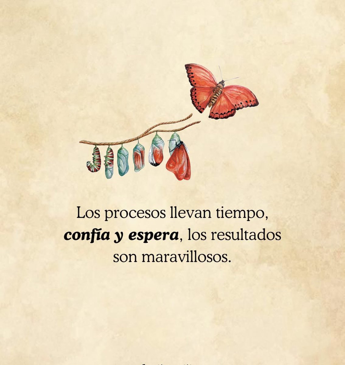 Pensamientos (@frasesimple) on Twitter photo 
