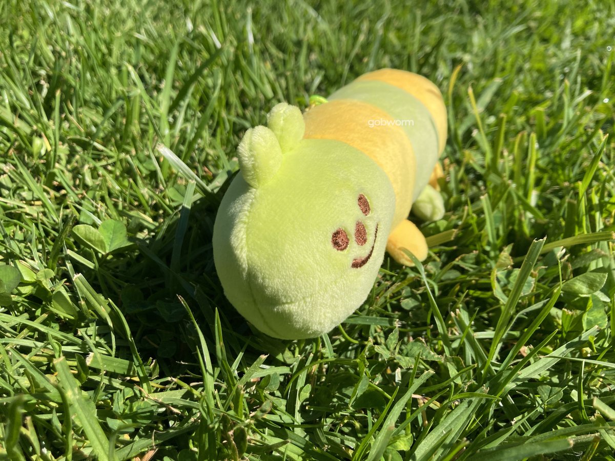 🐛GOBWORM🐛 shop open! tweet media