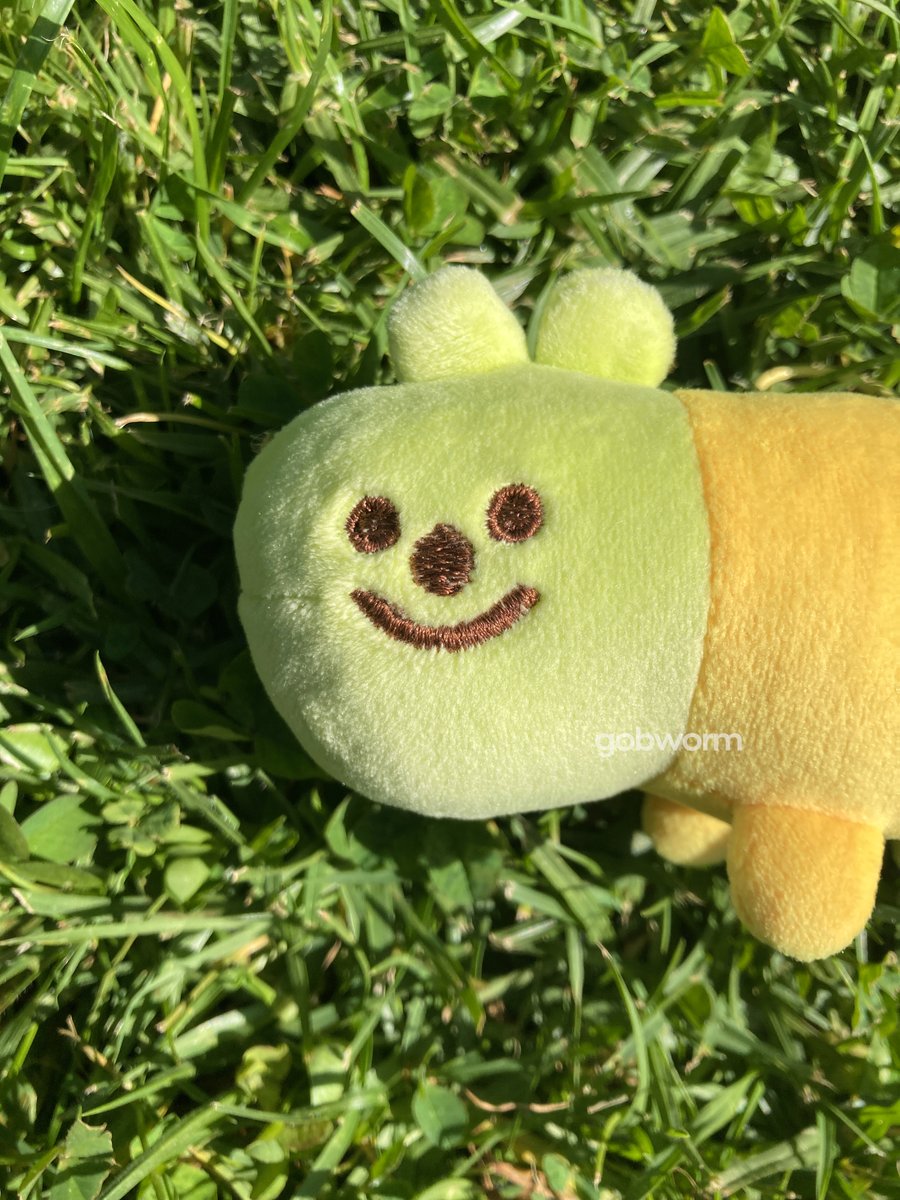 🐛GOBWORM🐛 shop open! tweet media