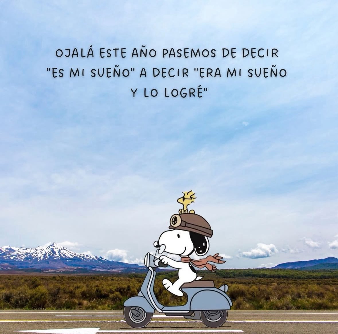 FraseSimple's tweet photo. https://t.co/W17zJgSihD