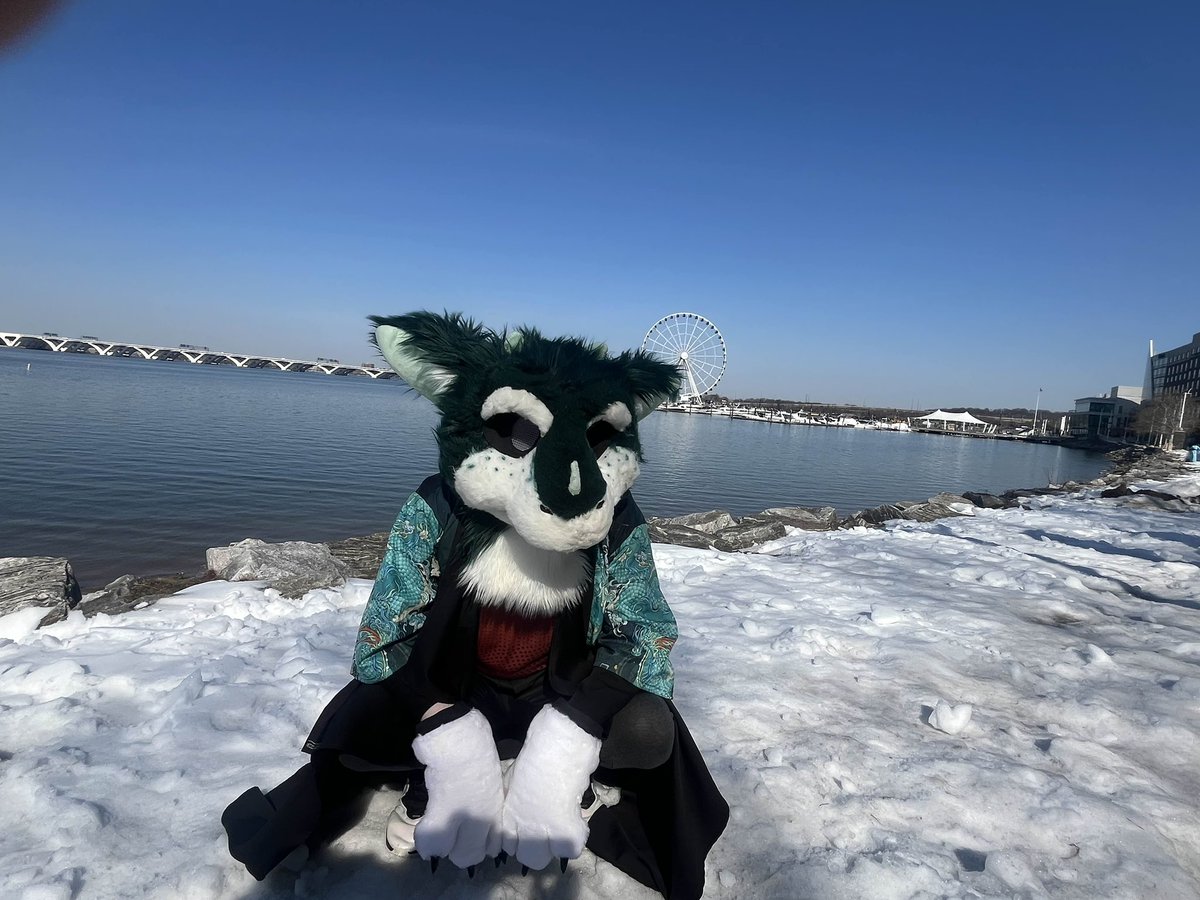 aShadowo tweet media