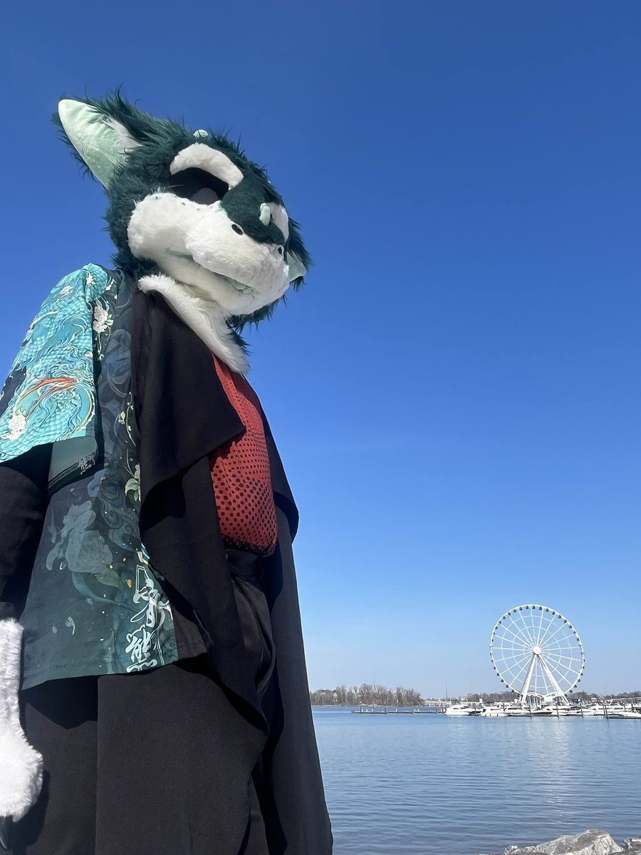 aShadowo tweet media