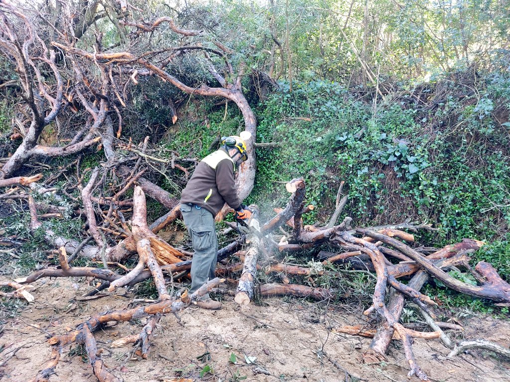 ADF Serra de Marina tweet media