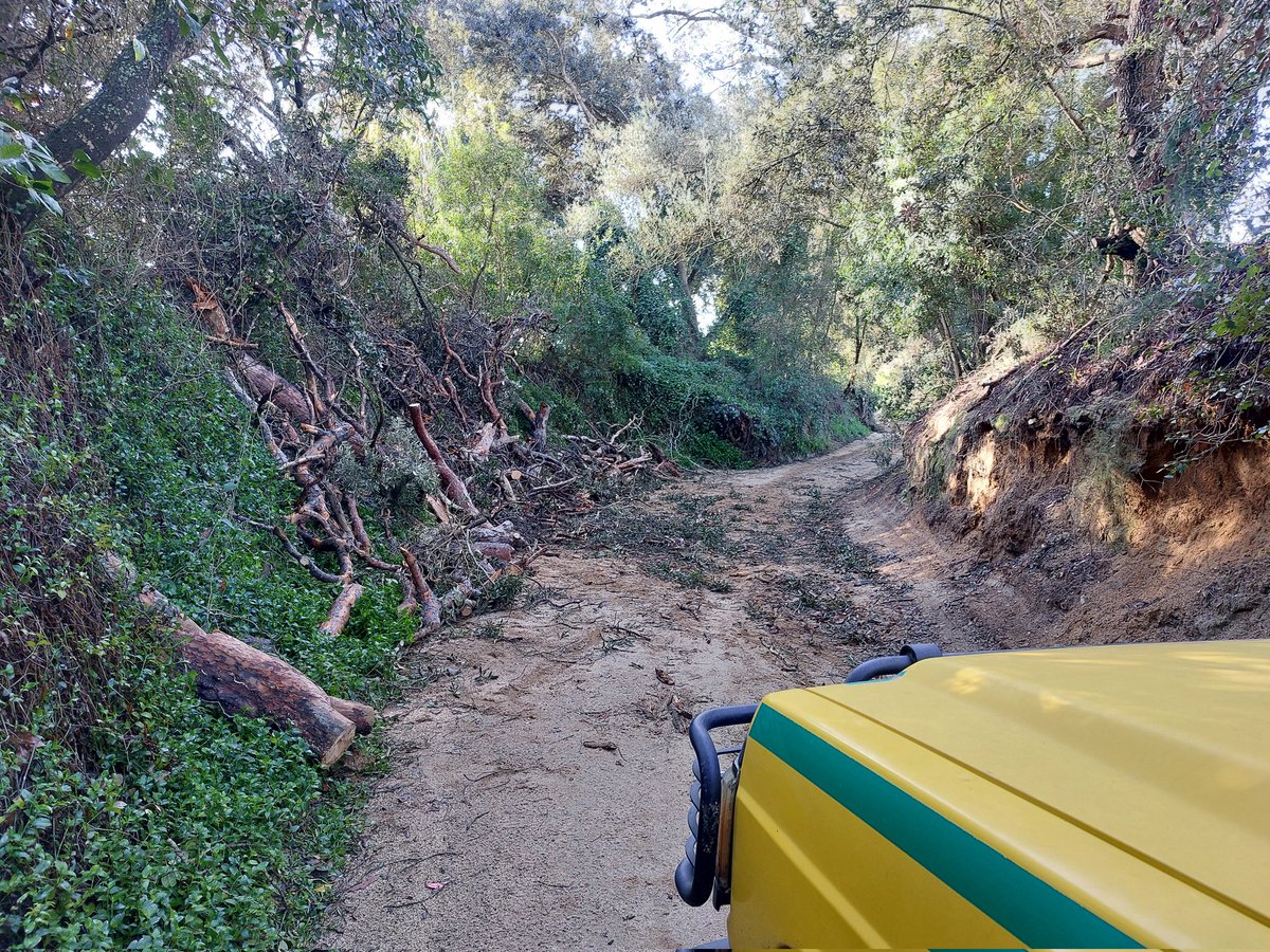 #Argentona | Continuem tallant i obrint camins en coordinació amb <a href="/ajargentona/">Ajuntament Argentona</a> #adfcat #prevencióIF #ventcat