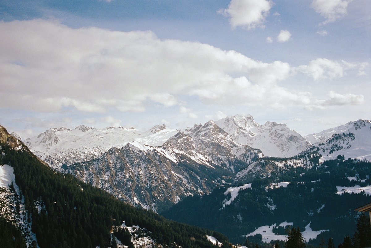 Kai Bauer tweet media