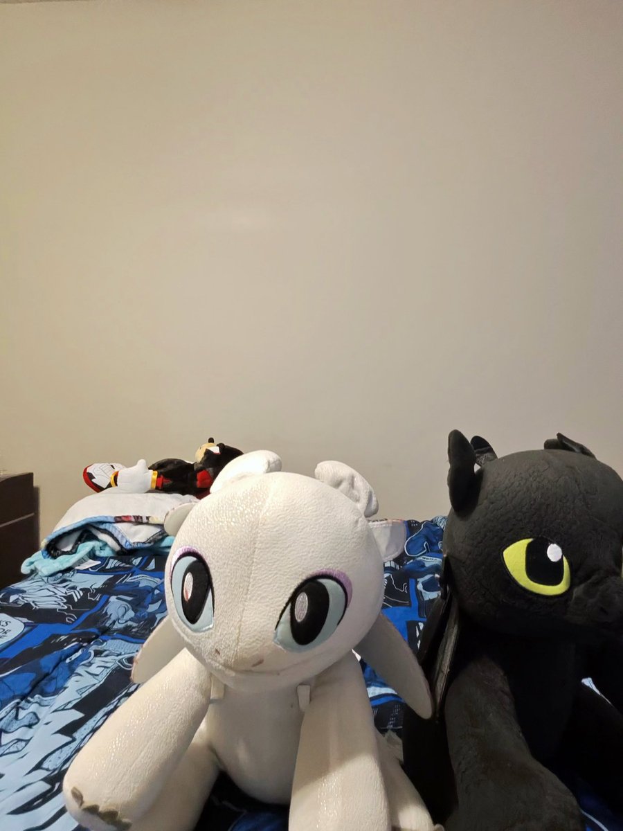 BlindBerkian's tweet photo. Happy Valentines Day from Toothless and the Light Fury!!!! And yes... Stormfly's on baby duty! #HowToTrainYourDragon #BuildABear #Toothless #Stormfly #LightFury #Dart #Pouncer #Ruffrunner #NightLights 😁😁😁❤️❤️❤️🐉🐉🐉

The first picture is Toothless sitting in the middle of my #SpiderMan bedspread.

The second picture is the Light Fury in the middle of my bedspread.

The third picture is of Both Toothless and the Light Fury sitting side by side on my bedspread.

The last picture is of Stormfly on my SpiderMan pillow with Dart on her right leg, Pouncer on her left leg, and Ruffrunner between her legs. Stormfly's wings are behind Dart and Pouncer. @HTTYDragon @buildabear