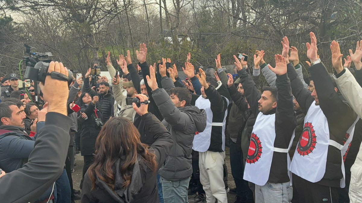 Omuzdan tutun beni
Halaya katın beni
Düşersem bu kavgada loy
Dosta anlatın beni 
Hıncım sevdamın hıncı
Sevdam mavzerde sancı