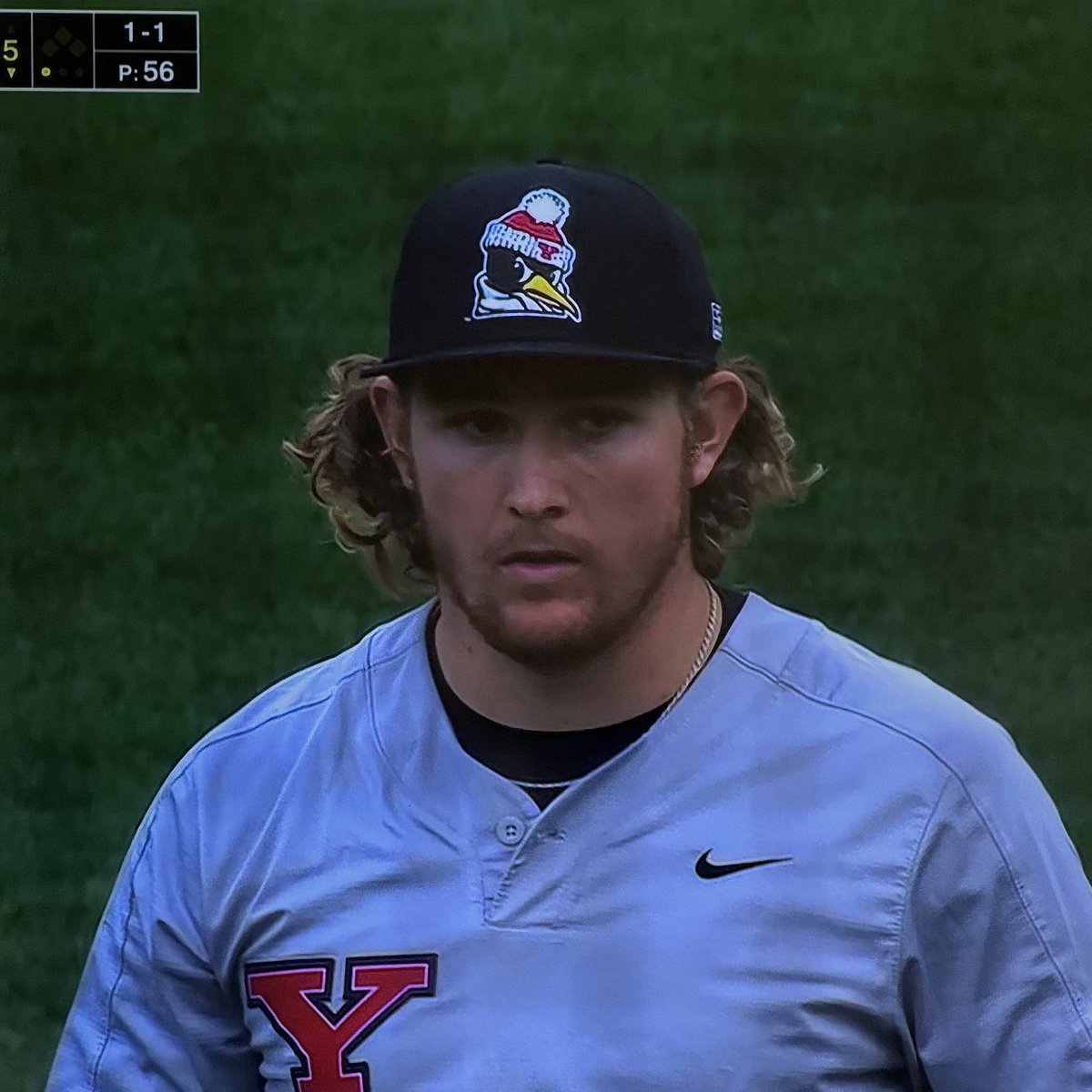 Stephen Schoch tweet media