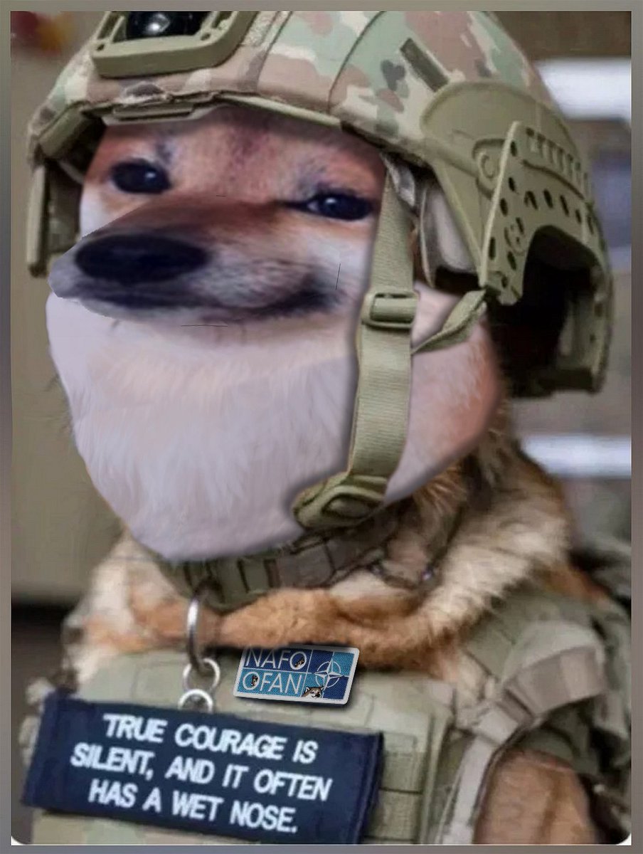 𝙐𝘼𝘿𝙚𝙛𝙚𝙣𝙙𝙚𝙧𝙂🦈 tweet media