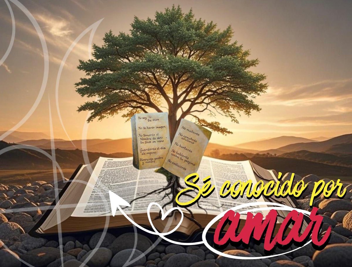 La Ley se convierte en sagrada cuando en su raíz y en su desarrollo está el Señor dándole plenitud. #VIDomingoTO ¡Vayamos más allá, como Jesús!