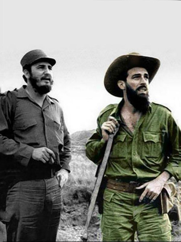 George Galloway tweet media