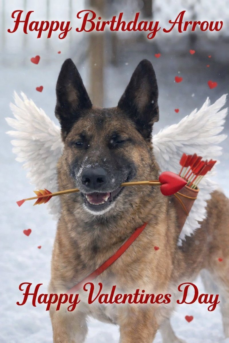 LOWER SOUTHAMPTON PD tweet media