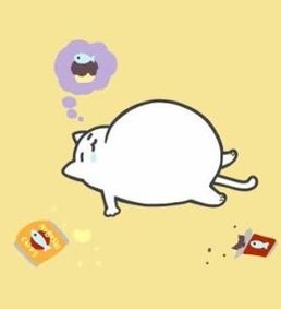 drchrisdds's tweet image. 猫が柔らかい 🎂