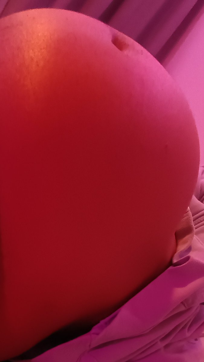 Pudgy Kitten tweet media