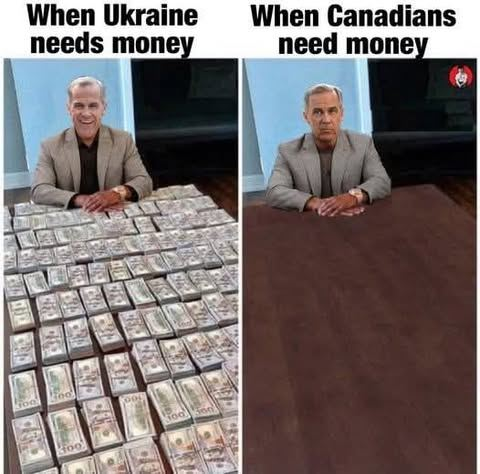 🇨🇦Freedom of Expression🇨🇦 (@freedom77015202) on Twitter photo 