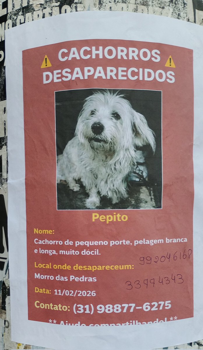 Se puderem ajudar.....