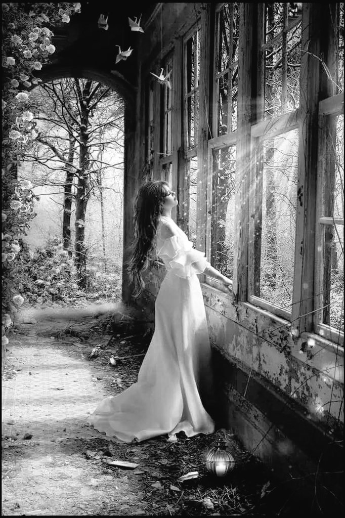 <a href="/Mohamme05809161/">Mohammed</a> <a href="/nor4rh/">💥Nor elrhman💥</a> <a href="/IK151/">𝕊ʜᴇʀᴅɪʟ 🇵🇰 IK</a> <a href="/8qjjjj/">آلُـِـِِـِِِـِِـِـقٌـ,ـآئڊ</a> <a href="/mrl_q20/">✨Miral✨</a> <a href="/Al_Yafei1/">𓆲⚘𝑨𝒍-𝒀𝒂𝒇𝒆𝒊•ύʟ̤ɾɹɹɹב​⚘𓆲</a> <a href="/Iqb9786/">ℨ𝔢𝔢𝔰𝔥𝔞𝔫 𝔦𝔮𝔟𝔞𝔩 𝔥𝔲𝔰𝔰𝔞𝔦𝔫</a> <a href="/NIK_563/">༄༂Neha༂࿐🎀</a> <a href="/Aa_ban1/">Gяїffїп'$ 🦅</a> <a href="/L_GR786/">GOhaR</a> <a href="/2E8QFFS/">الہٰكہٰابٰٰتہٰن</a> <a href="/nar1790/">ابو احمد</a> <a href="/_Ft9t/">Farah</a> <a href="/Ejz55/">👉𝐄ᴊᴀᴢ 𝐇ᴀsʜᴍi👈</a> <a href="/p_734j/">『الـرَّحـالُ الْـشُّـ؏ـيبــيᴹᴿ』</a> <a href="/WX2fu/">مهندس ايمن عماره</a> <a href="/Saif_pit/">Saif Ullah Warraichᵀᵉᵃᵐᴸᴸᴾ</a> <a href="/xsaba11/">Säbïhã khãñ</a> <a href="/Qs3488/">Qamar Shahzad🦅</a> <a href="/sun_zara_/">شہزادہ بھائی</a> <a href="/SahabGPK/">Haroon Rasheedᶦᵏᶠ</a> <a href="/mughal_tr9/">TAUSEEF لشکری</a> <a href="/AbidShah99/">Abid Jan</a> <a href="/non1976067/">NON♑نون♑</a> <a href="/MarcelaErcia/">🕉MARCE🐉⚖ #MarceTeAyuda🔮#JesúsCambióMiVida✝</a> ..
اردت ان أكون النور الذي 
يضيء لياليه الدافئه
والقصيدة التي تعبر عن 
شغفه وأحلامه
كدت أغرق في بحور عينيه
وأكون الموجة التي تعانق 
شواطئه وايامه
هو الشعر الذي يعيش في قلبي
و الحلم الذي أريد أن أكونه
أكون الوردة التي تتفتح 
في حدائق روحه 
 
#قيثارة_النيل
 #حكاية_حرف